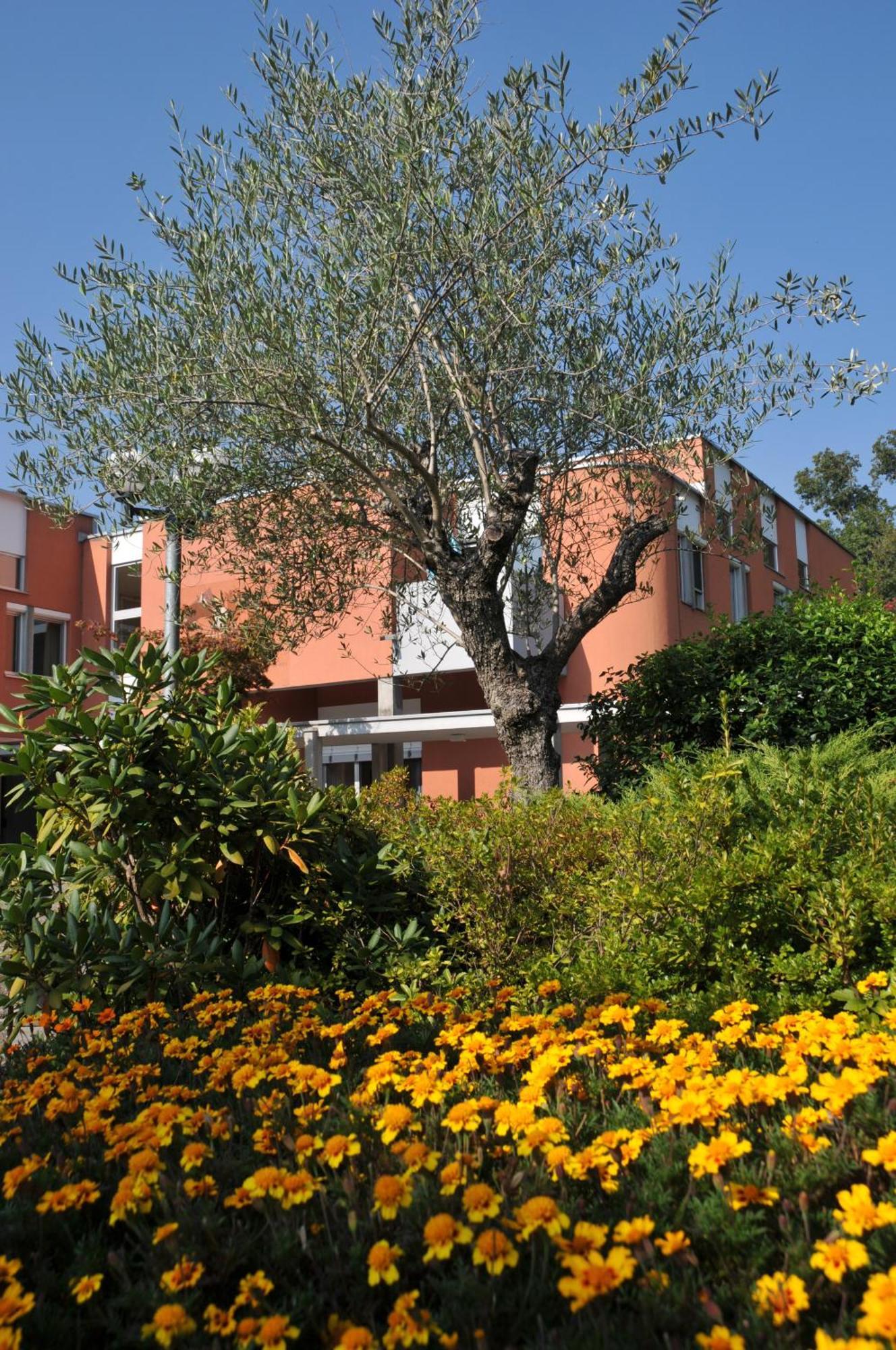 Hotel Centro Magliaso Exterior foto